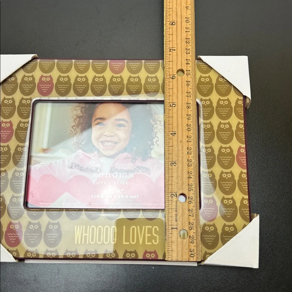 Sonoma Life+Style Owls Whooo Loves You Owl Always Love You Picture Frame 4